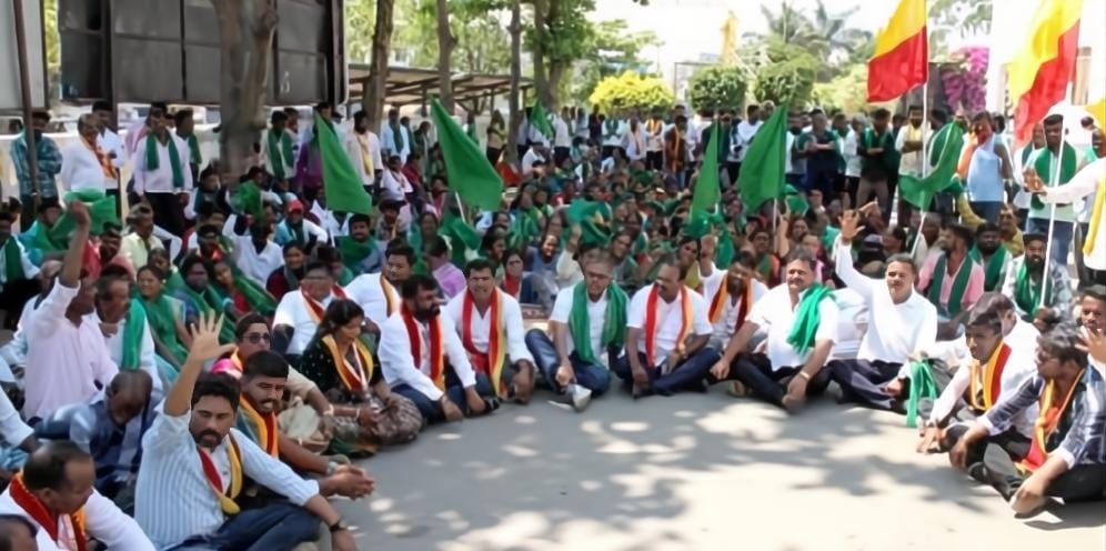 WhatsApp Image 2025-02-25 at 4.43.25 PM