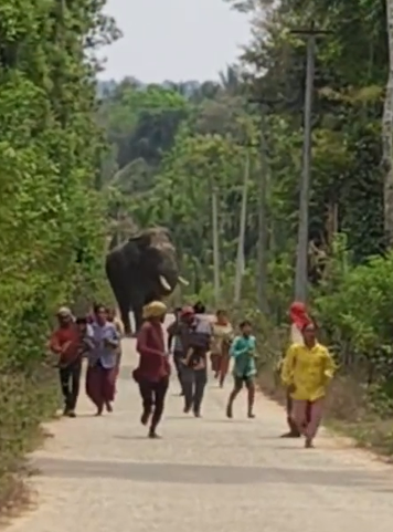 Screenshot 2025-03-20 131049