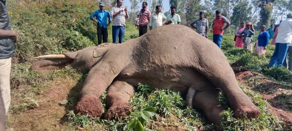 WhatsApp Image 2025-03-15 at 10.44.36 AM (1)