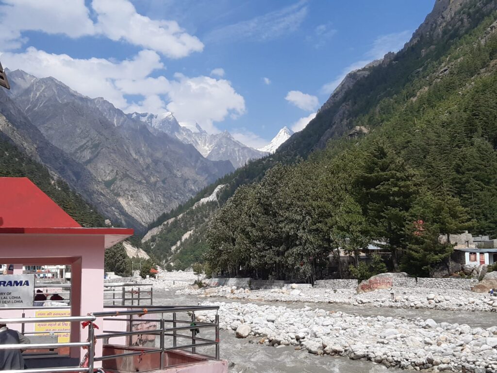 WhatsApp Image 2025-03-17 at 8.25.55 PM