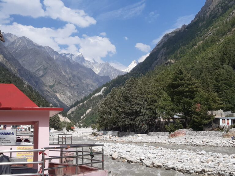 WhatsApp Image 2025-03-17 at 8.25.55 PM