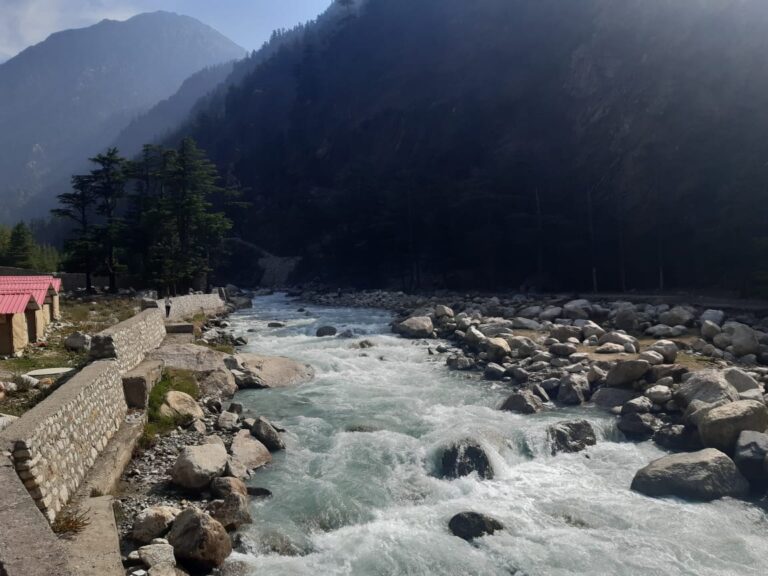 WhatsApp Image 2025-03-17 at 8.26.01 PM