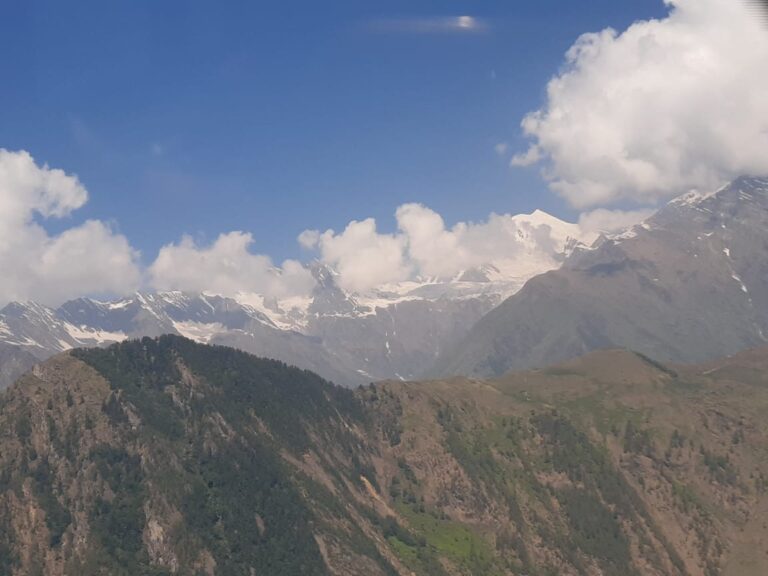 WhatsApp Image 2025-03-17 at 8.26.08 PM (2)