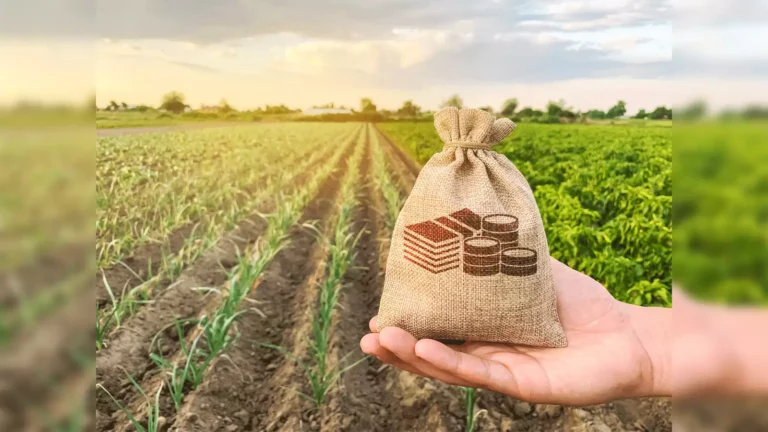 ವಿಚಾರ - ವಿಸ್ತಾರ