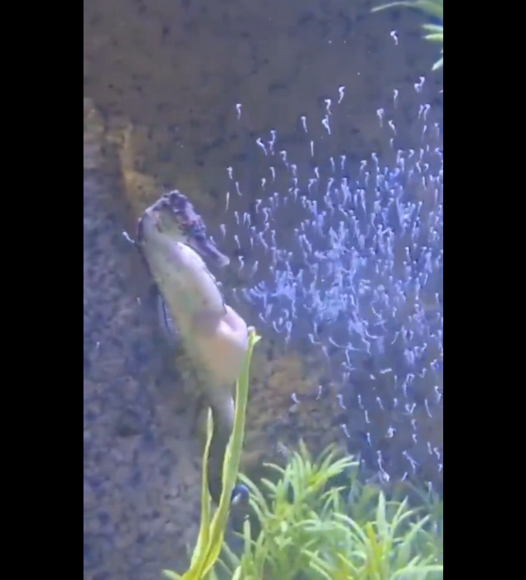 Screenshot 2025-04-13 153234