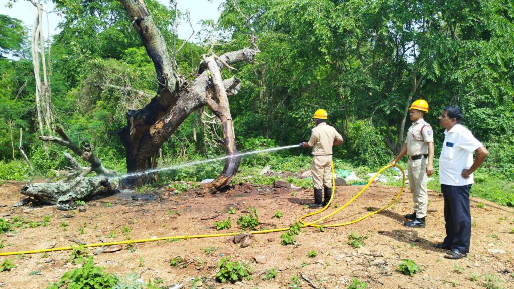 75762d8f-40d6-47fc-b396-58baabff18c3