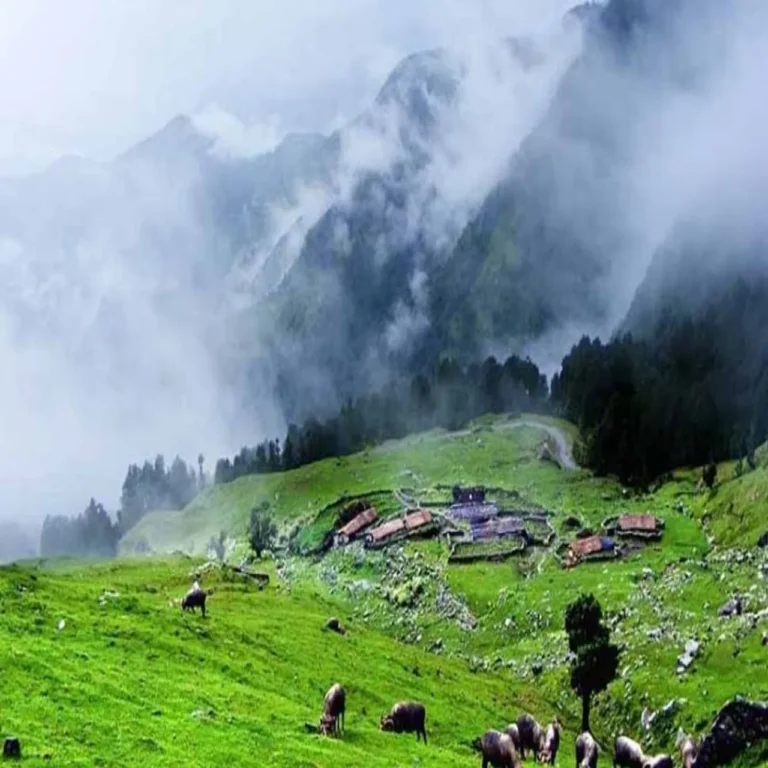 Chopta-is-called-mini-Switzerland-of-Uttrakhand