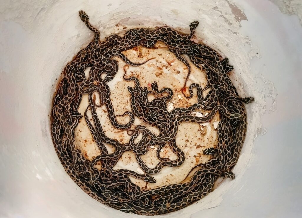 WhatsApp Image 2025-05-03 at 6.23.50 PM