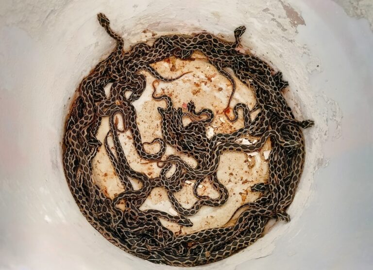 WhatsApp Image 2025-05-03 at 6.23.50 PM