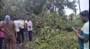 WhatsApp Image 2025-05-05 at 7.31.34 PM