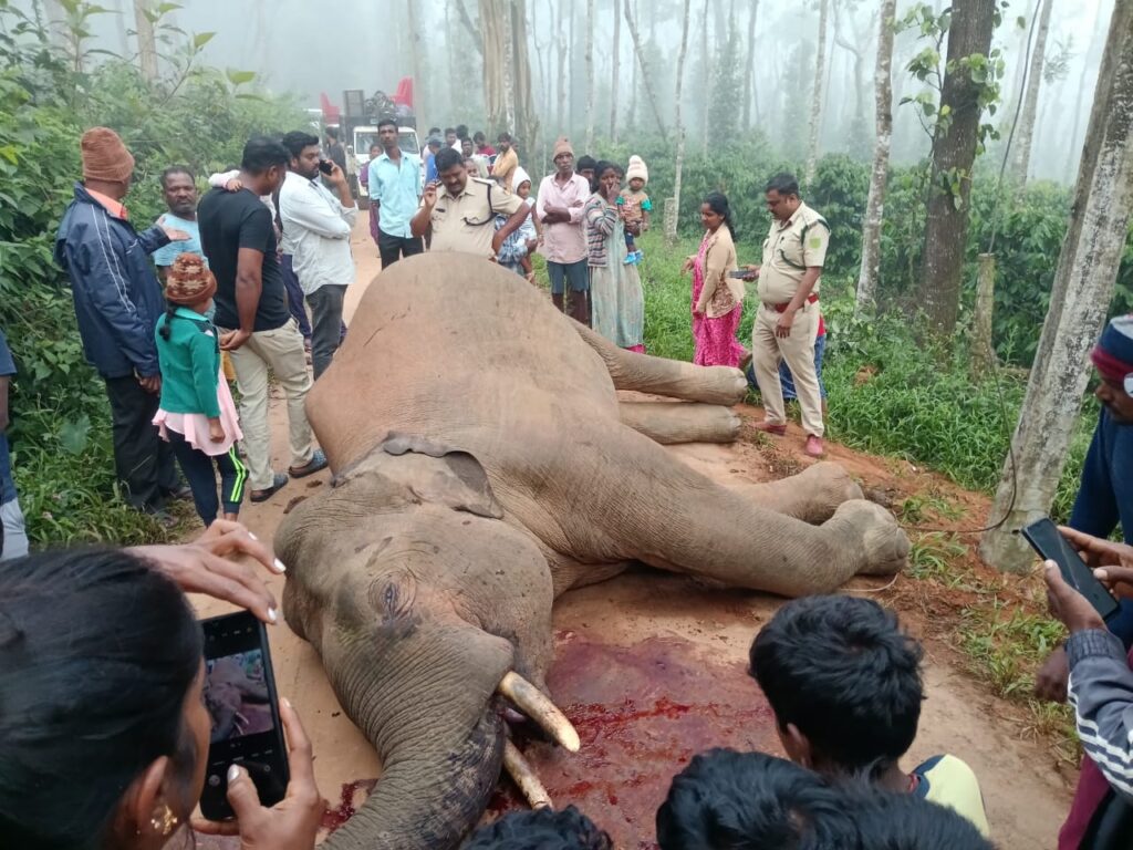 WhatsApp Image 2025-05-10 at 8.01.40 AM