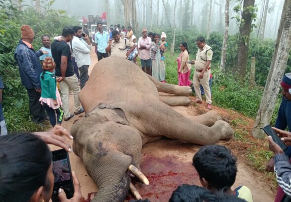 WhatsApp Image 2025-05-10 at 8.01.40 AM