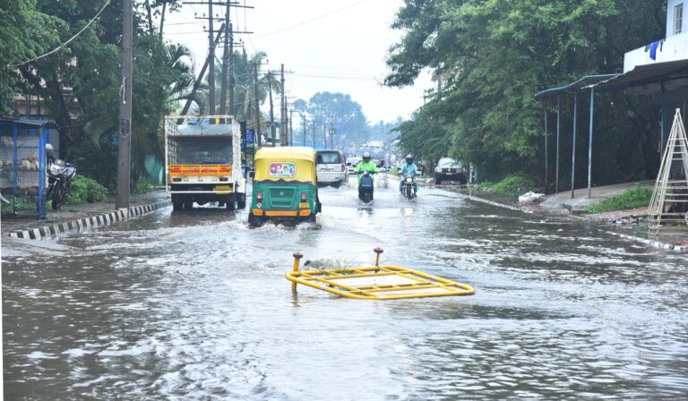 WhatsApp Image 2025-05-20 at 4.51.29 PM