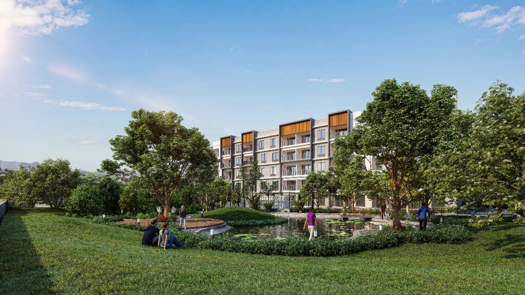 WhatsApp Image 2025-05-22 at 3.18.09 PM