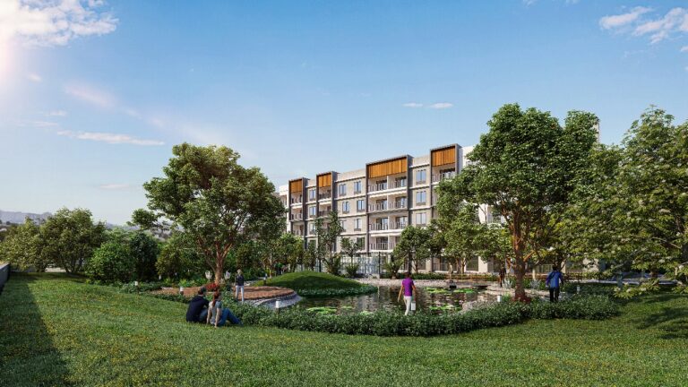 WhatsApp Image 2025-05-22 at 3.18.09 PM