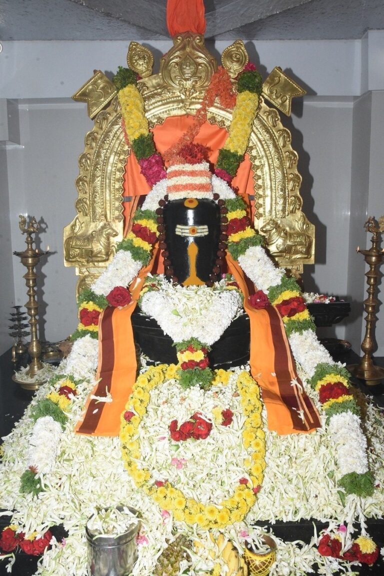 a06bee5e-bffa-45fe-88c5-082416c6375c