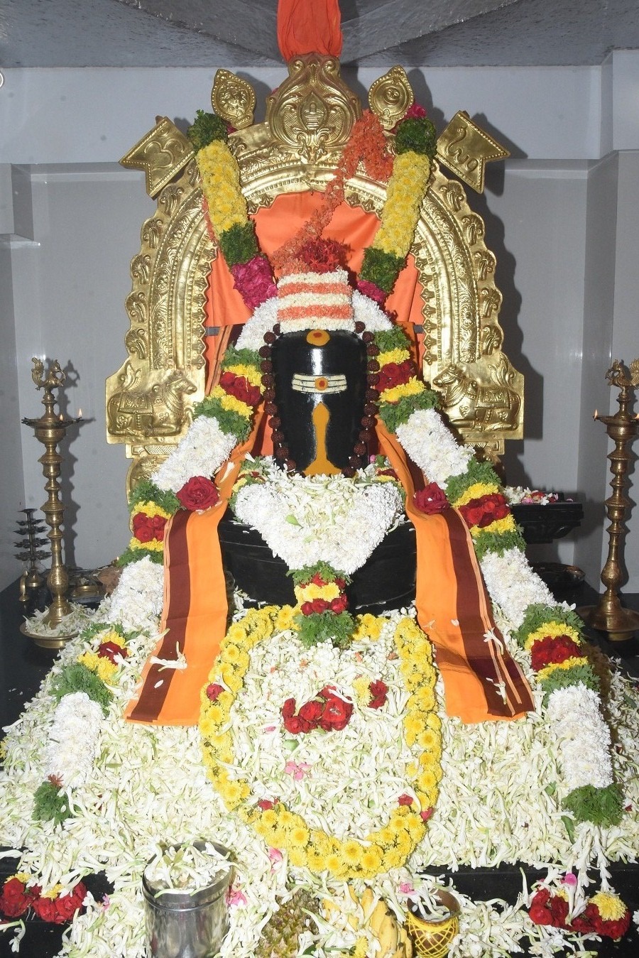 a06bee5e-bffa-45fe-88c5-082416c6375c