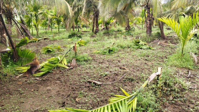 c8953c01-20ac-477e-95be-9f65b047ef47