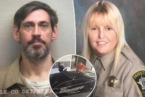 n66409280617471267613662ec50bbdfabaad3118860c7c8763934842f3665dc0b36f8bd7e9b115b7d5e5cc