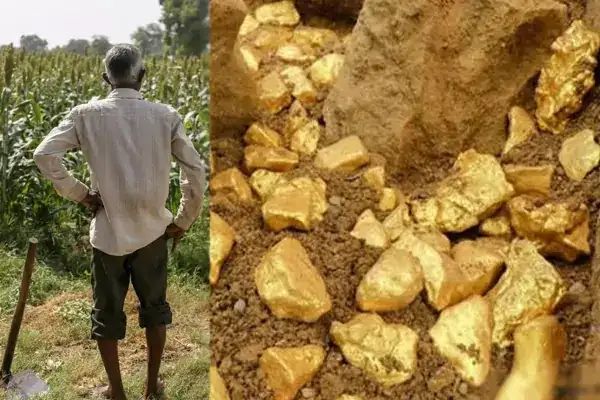 n6645060961747378168707b4fd5a11d6ac94de0bff1dd27946860755dedf02ff4b3cc3a2af13aa1cb7f685