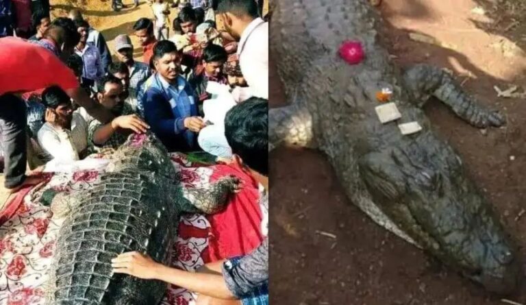 n66577835417482721532255725f11653a76c4aeefb8bb0fa59a698cfd2ca7c2b54aab96af30ef40a6933bc