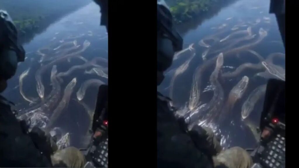 n66599230317484120313714611c62db6c7cc1590d1b0a53fe87faa4959706436b14cc80f0bc5f260d9ddc9