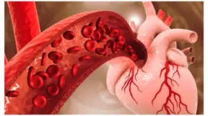 vijay-karnataka-110452347