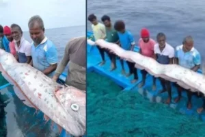 6612969637c33caf2e8308a5ff7490baefc33f8b845dc5a0b6d1a59338813d4f