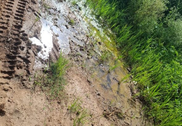 WhatsApp Image 2025-06-06 at 4.35.52 PM