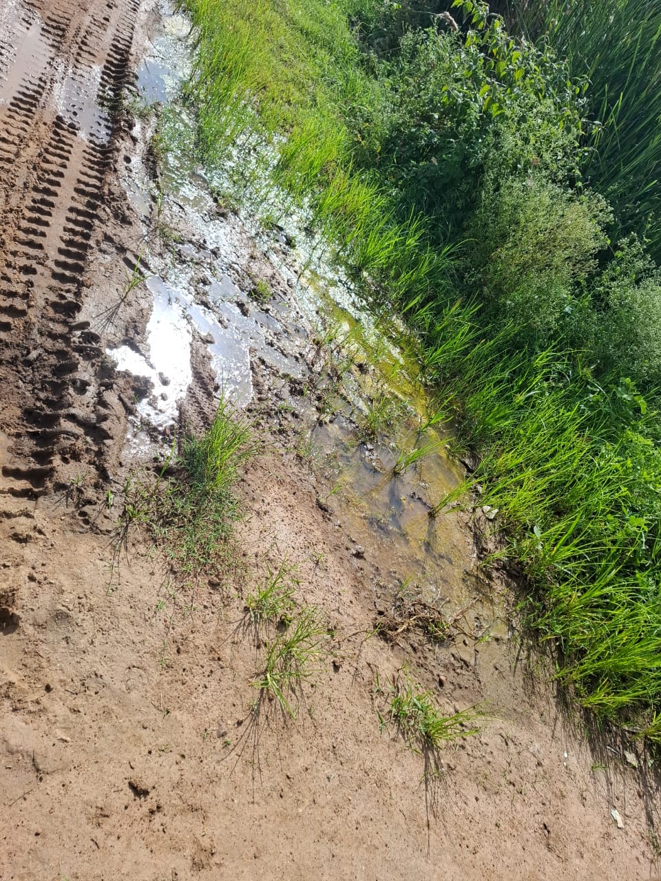 WhatsApp Image 2025-06-06 at 4.35.52 PM