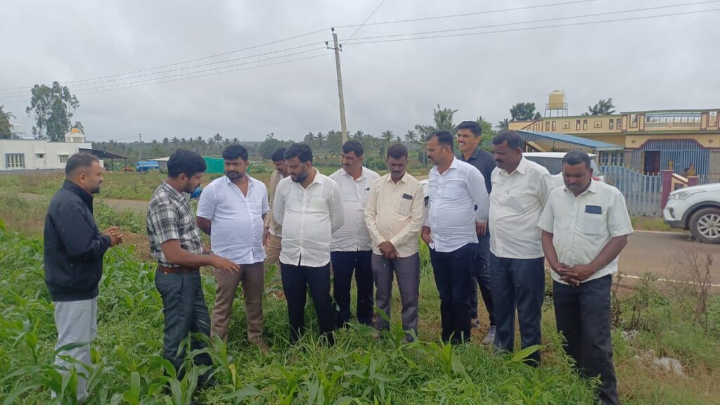 WhatsApp Image 2025-06-16 at 7.11.40 PM