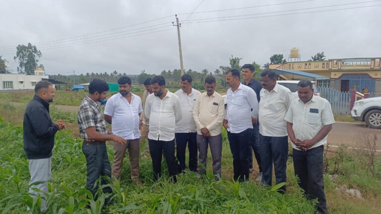 WhatsApp Image 2025-06-16 at 7.11.40 PM