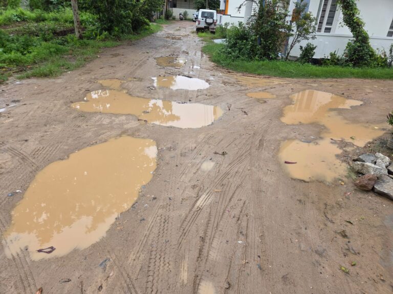 ಹಾಸನ-ಕೆಸರು ಗದ್ದೆಯಂತಾದ ಆದಾಯ ತೆರಿಗೆ ಕಾಲೋನಿ ರಸ್ತೆ- ವಾಹನ ಸವಾರರು-ವಿದ್ಯಾರ್ಥಿಗಳ ಪರದಾಟ