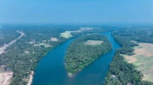 images-2025-06-13T141843.399