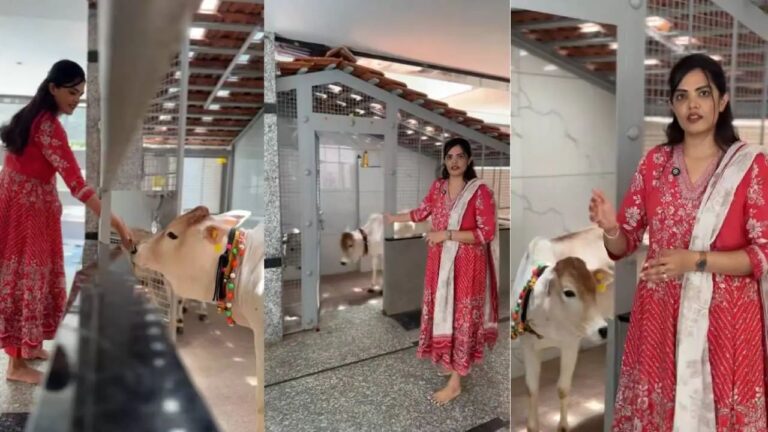 n66671922117488441276833745c5b8333a09b0e568cd74cb0af5025a492a6524d26dbcc81df2d292f18628