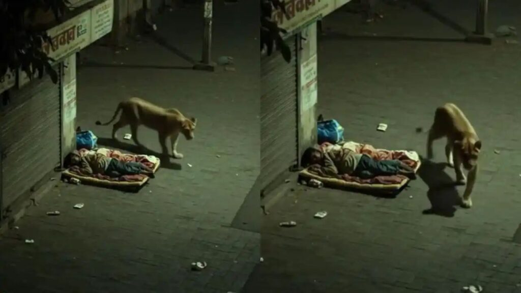 n667613094174938057015831673eebc4beb7b331a5b1880cc36bde1ec2e383157f5270eb2462b02419be6f