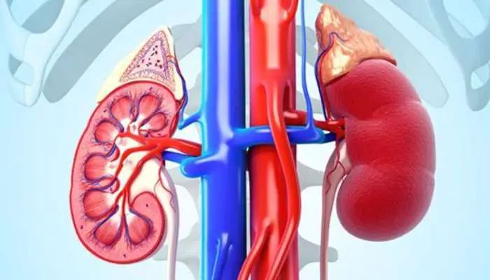 n67033468817511640125358d5ac75aad6e0feb15050ab92ef647afa39097ea8d92dcb638332041e3d45e5c