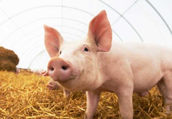 shutterstock-349880474-26-1480154359-1658502142