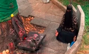 013ef3f0ea0c4eb48549e2d00f8f9fe3feef460ab480e74352ae5baf568f25ce