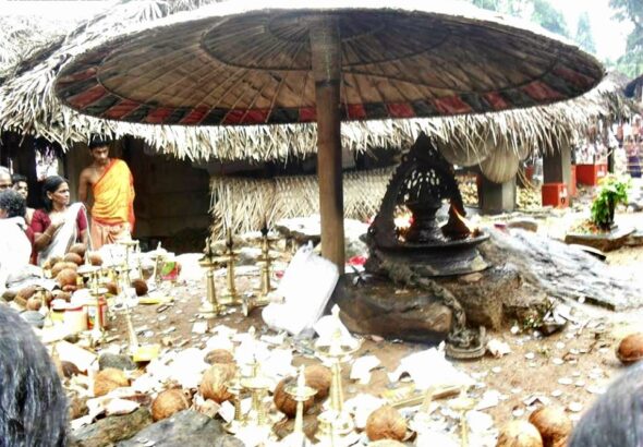 10407173_629570877138612_4650419868329449077_n