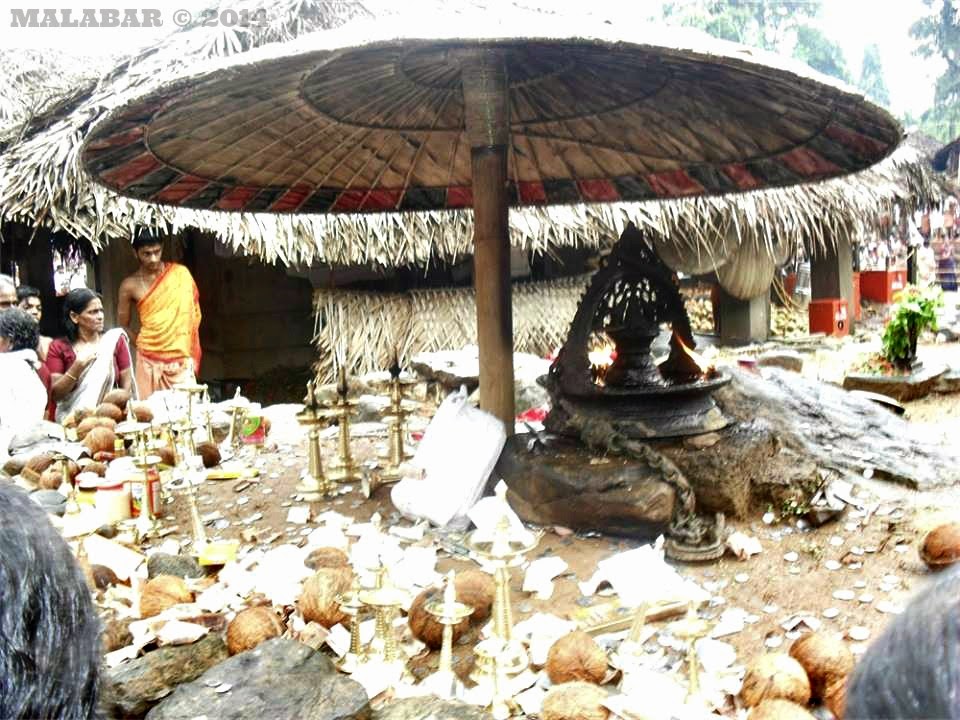 10407173_629570877138612_4650419868329449077_n