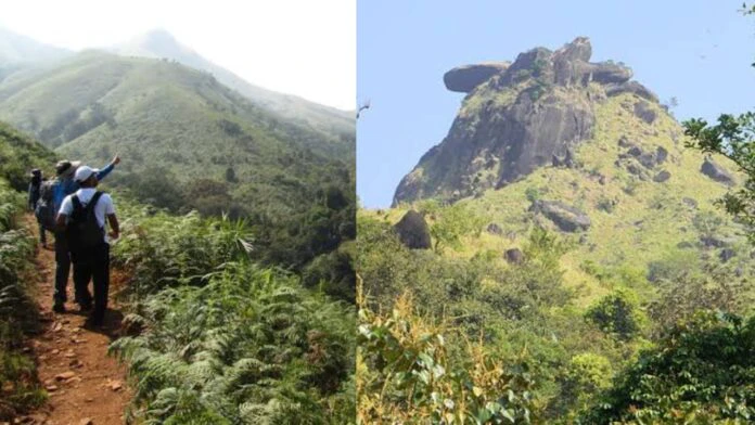 5bc7b510755c8adb0146fd2844207bc658dc4c4e390a3adb8d5d7f6f52a8a5b6