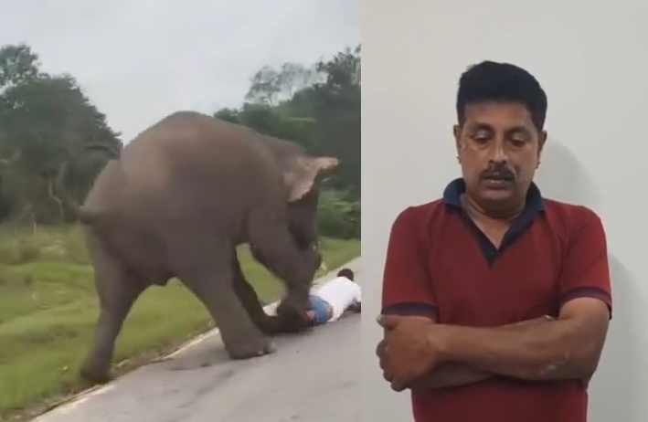 Screenshot 2025-08-12 131312