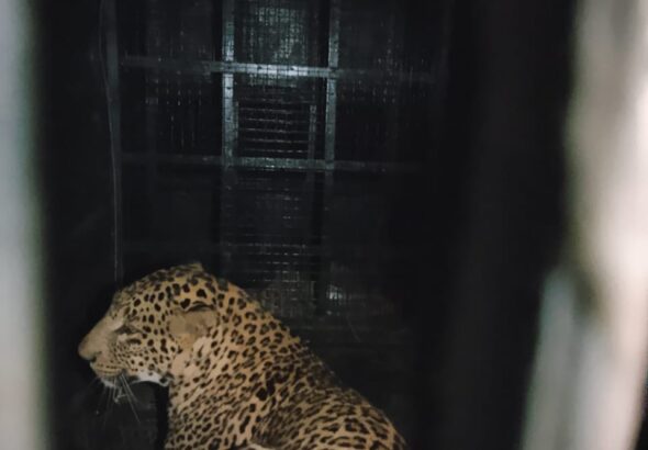 WhatsApp Image 2025-08-02 at 11.43.24 PM