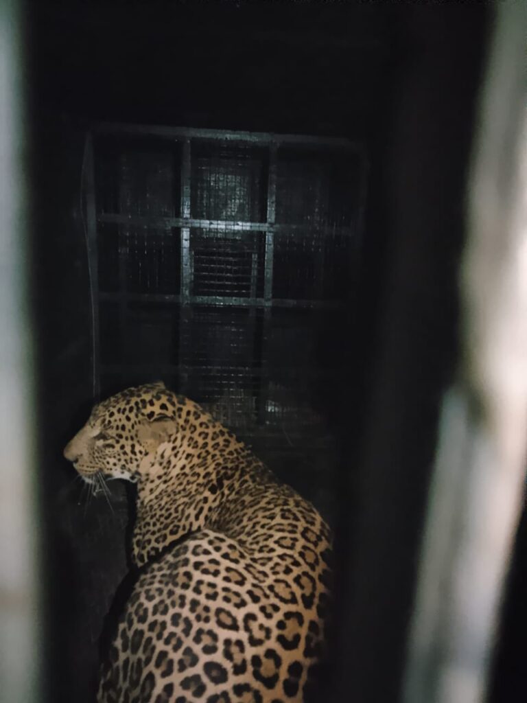 WhatsApp Image 2025-08-02 at 11.43.24 PM