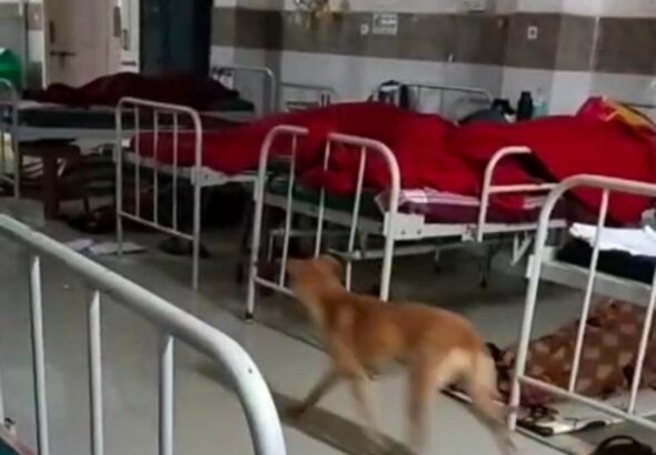 WhatsApp-Image-2025-08-19-at-9.28.38-PM