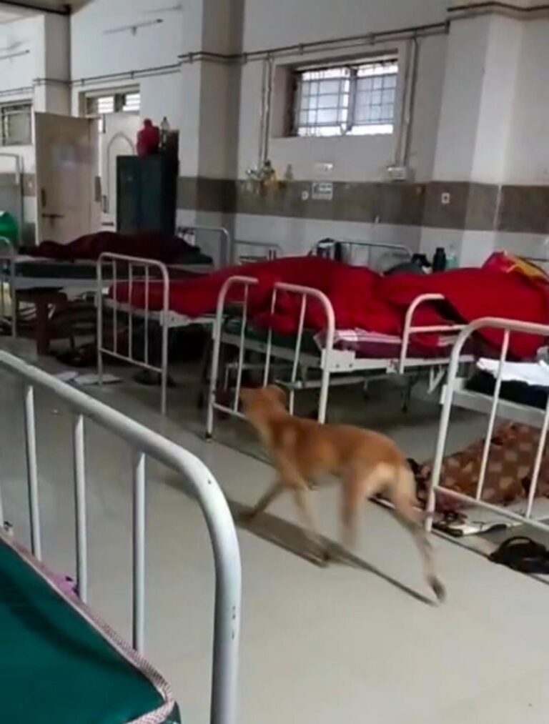 WhatsApp-Image-2025-08-19-at-9.28.38-PM