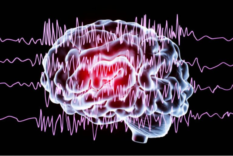 WhatsApp Image 2025-08-22 at 2.08.23 PM