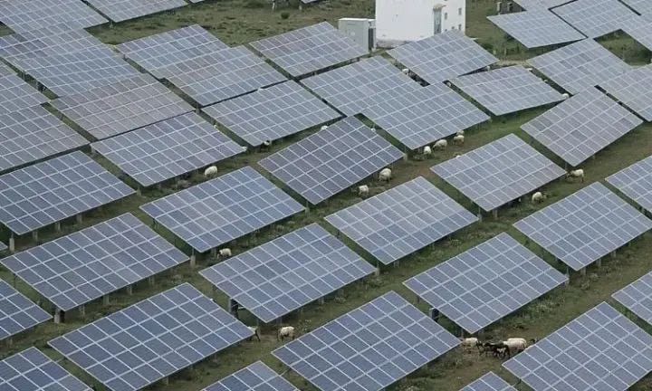 WhatsApp Image 2025-08-23 at 3.23.35 PM