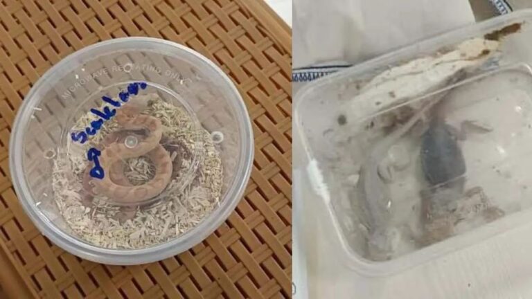 n67659933417550677854537e49a80f089b27f406943b9ca87c3e9e39692e4a58a9ec546b36fd513cda04dc